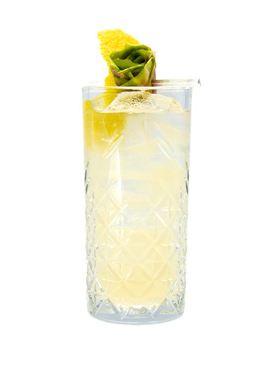 Joplin Lemonade Alkolsüz İçecek