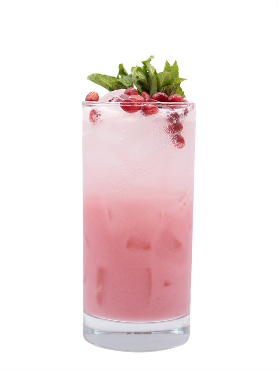 Coco Christmas Mojito Alkolsüz Kokteyl