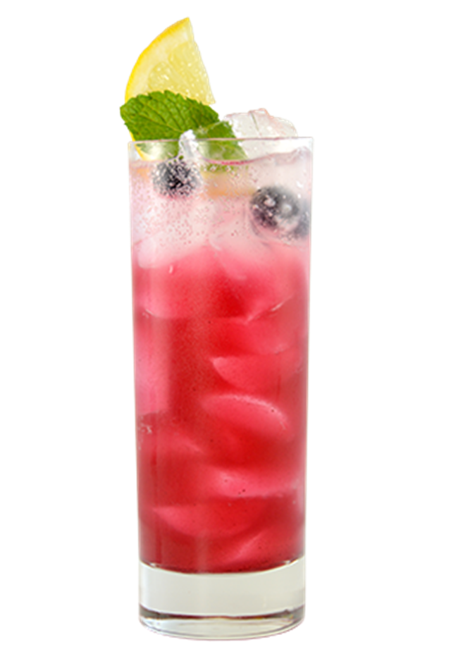 Blueberry Mint Collins Kokteyl