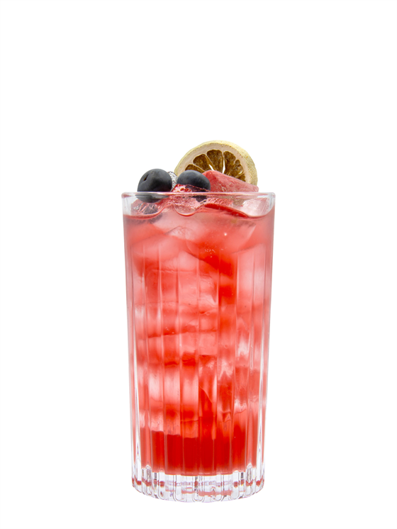 Blueberry Hibiscus Shrub Alkolsüz Kokteyl