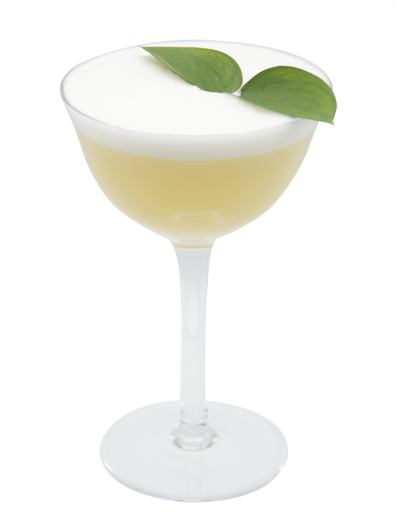 Citron Cocktail Alkolsüz Kokteyl