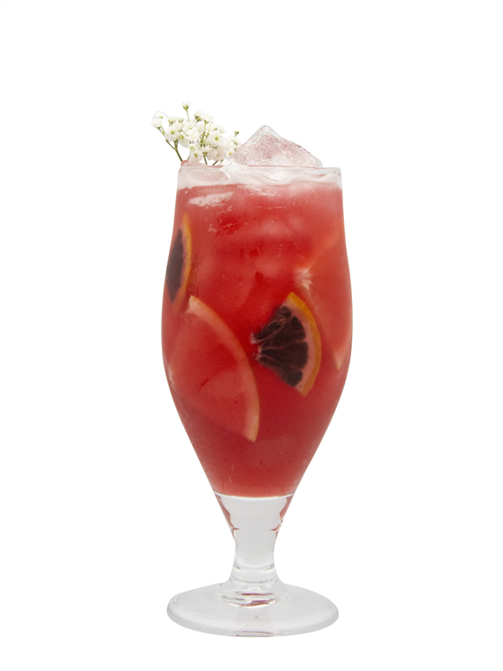 Winter Citrus Palmer Alkolsüz İçecek
