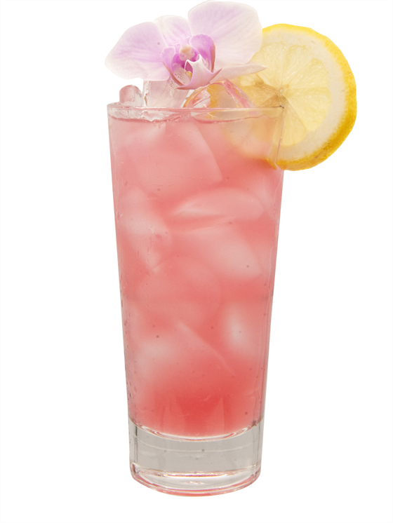 Spiked Hibiscus Lemonade Kokteyl