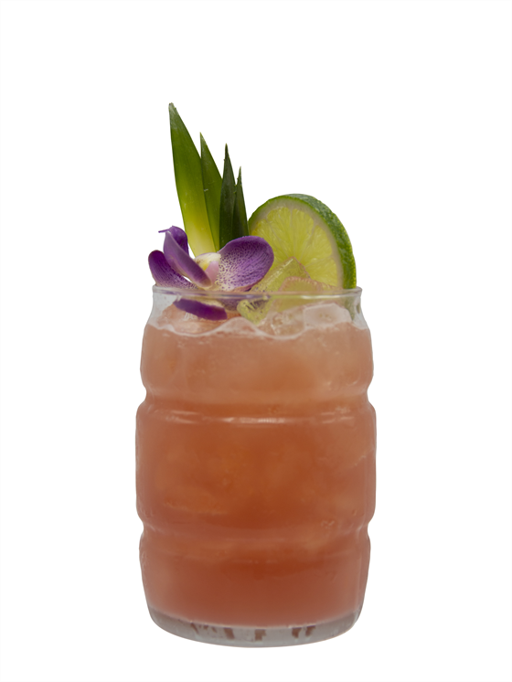 Hibiscus Punch Alkolsüz Kokteyl
