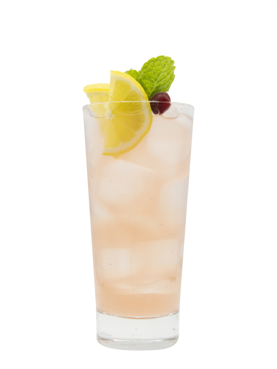 Cranberry Fall Water Alkolsüz İçecek
