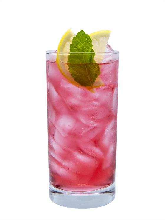 Hibiscus Hydration Soda Alkolsüz Kokteyl
