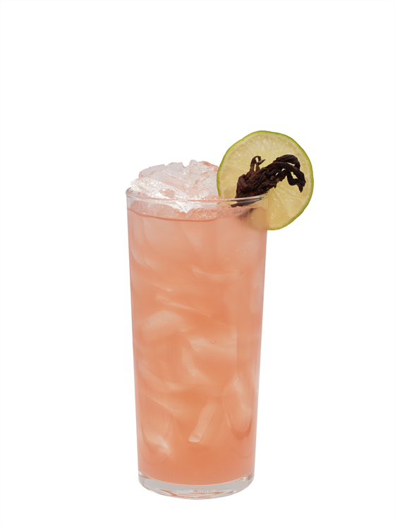 Hibiscus Passion Limeade Alkolsüz Kokteyl