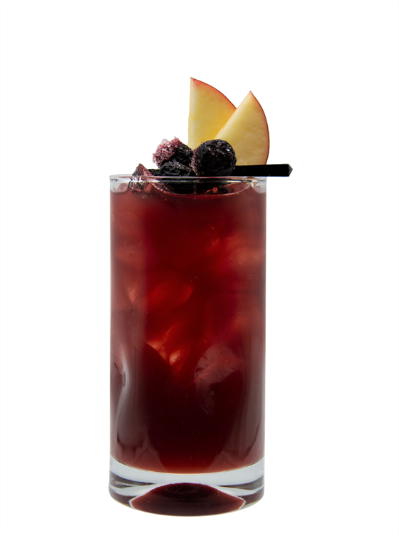 Hibiscus Pomegranate Juice Boost Alkolsüz Kokteyl