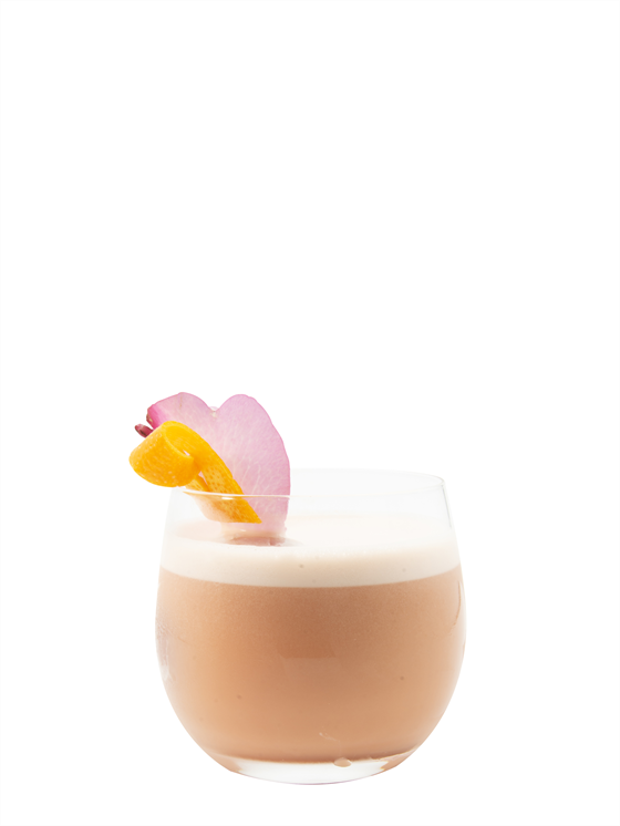 Negroni Flip Kokteyl
