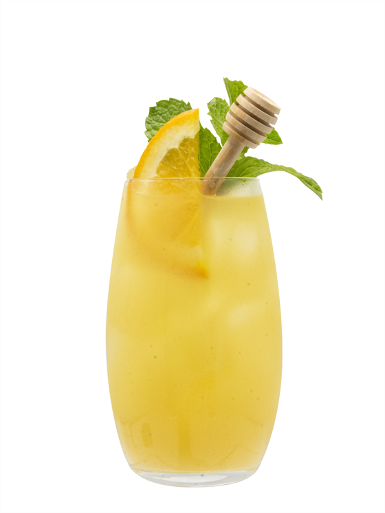 Wellness Citrus Fizz Alkolsüz Kokteyl