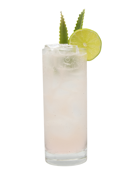 Spicy Agave Ranch Water Kokteyl