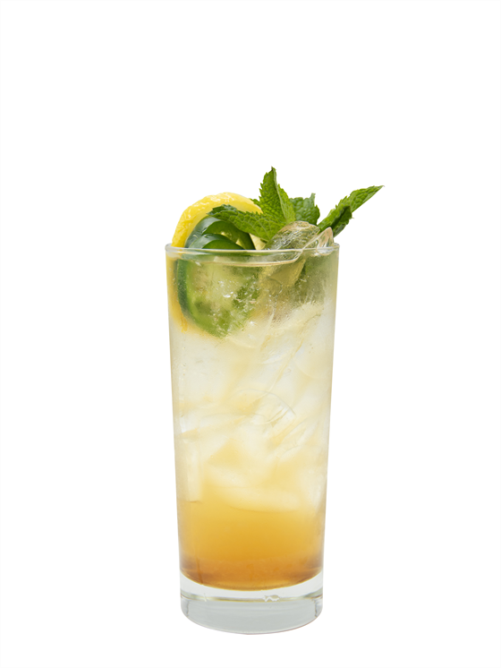 Iced Sparkling Hot Honey Bee Tea Kokteyl