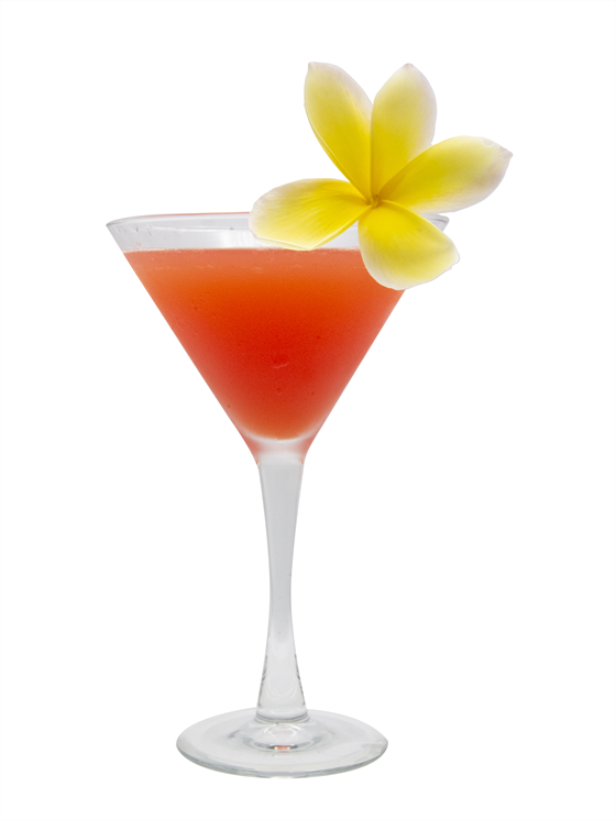 Red Passion Fruit Gimlet Kokteyl
