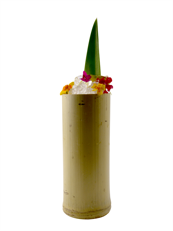 Passion Fruit Rum Punch Kokteyl