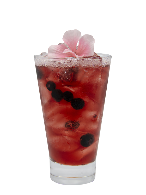 Spiced Blueberry Hibiscus Kombucha Alkolsüz Kokteyl