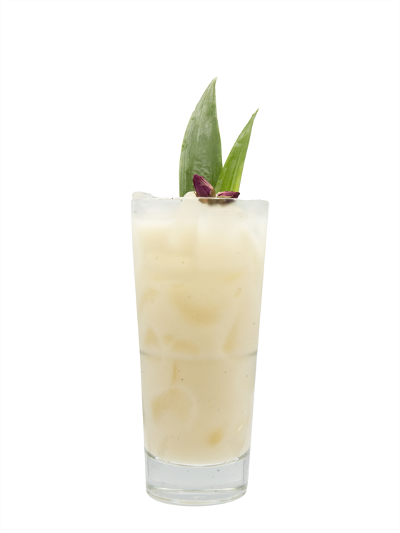 Rose Coconut Refresher Alkolsüz İçecek