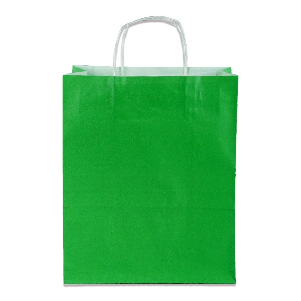 Yeşil Burgu Saplı Orta Boy Kağıt Çanta 25x31x12 cm