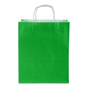 Yeşil Burgu Saplı Orta Boy Kağıt Çanta 25x31x12 cm