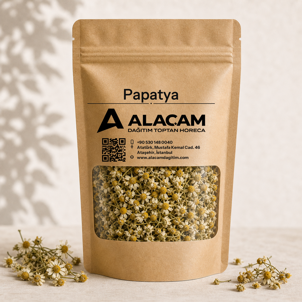 Papatya