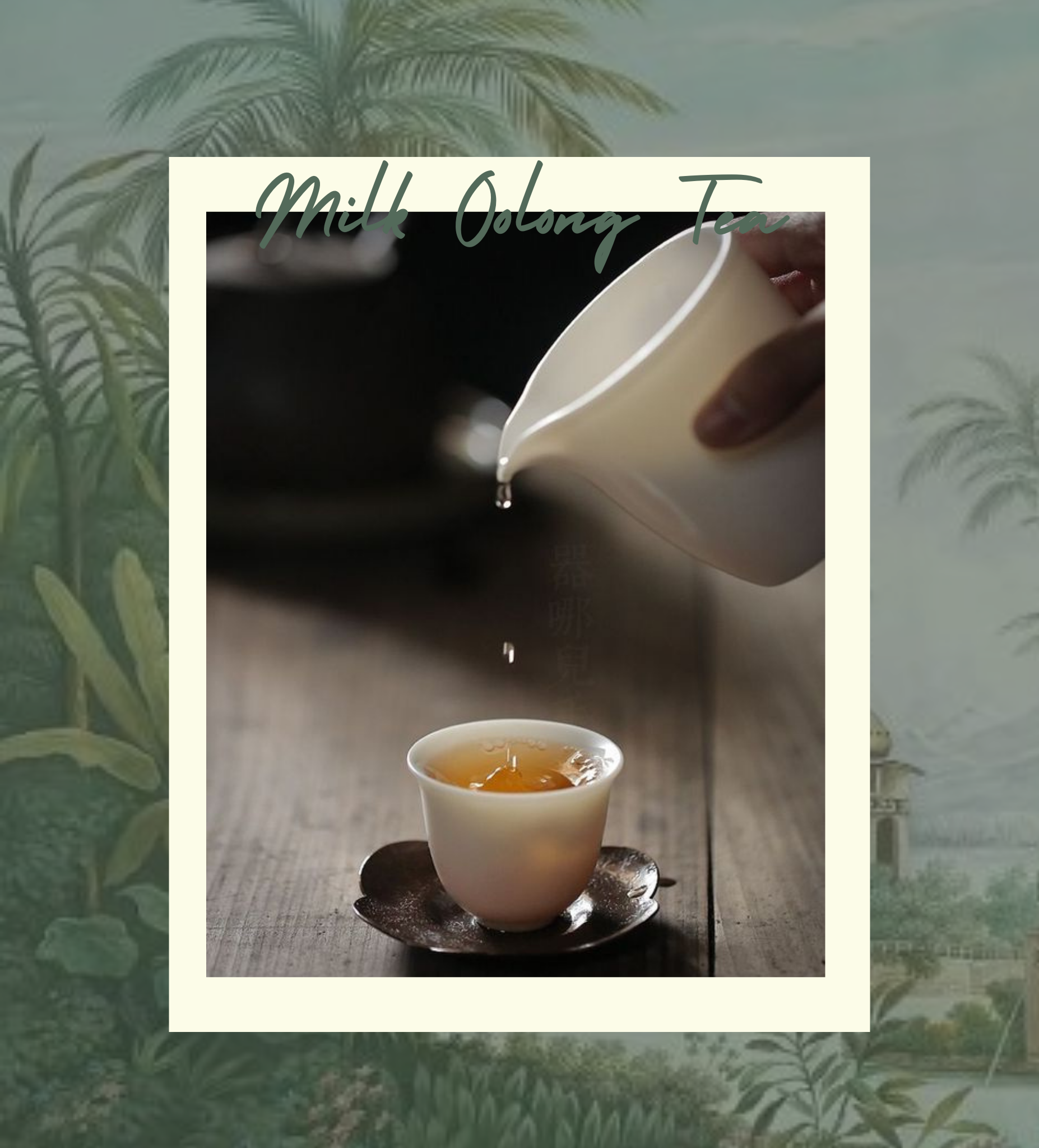 Milk Oolong Tea - Milk Oolong Tea Muslin Bag 12-Pack Teabox