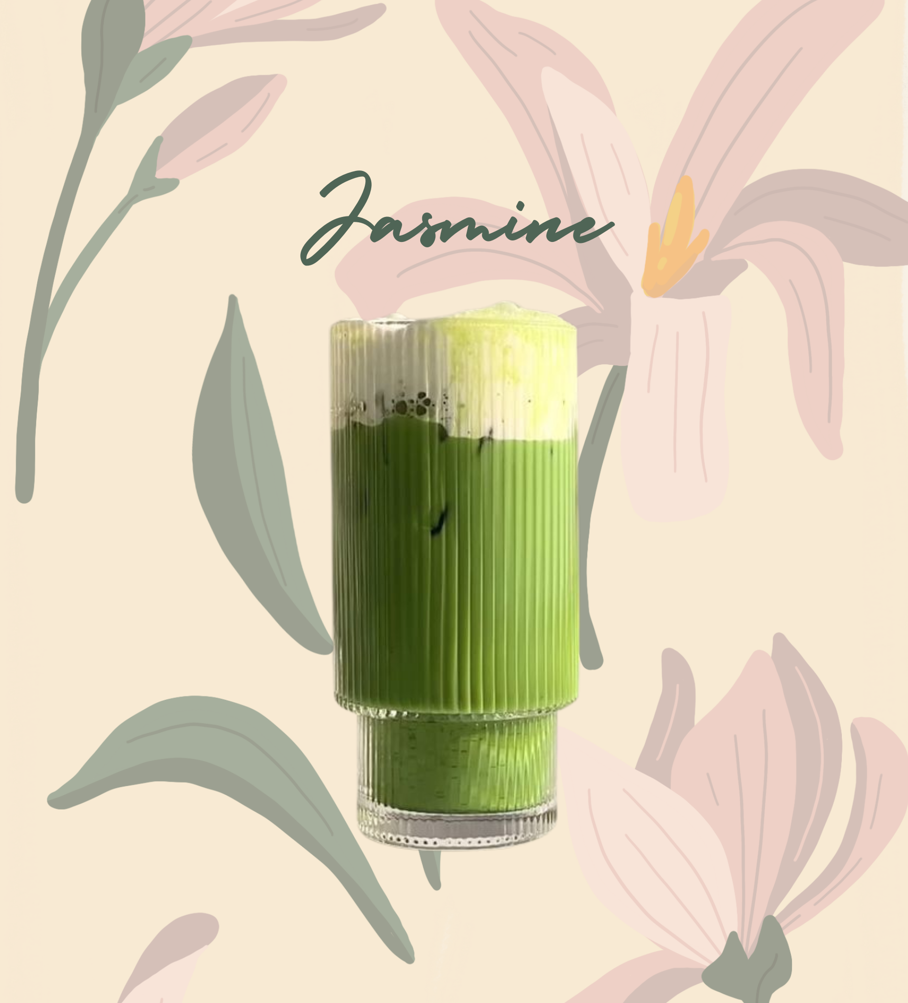 Jasmine Matcha