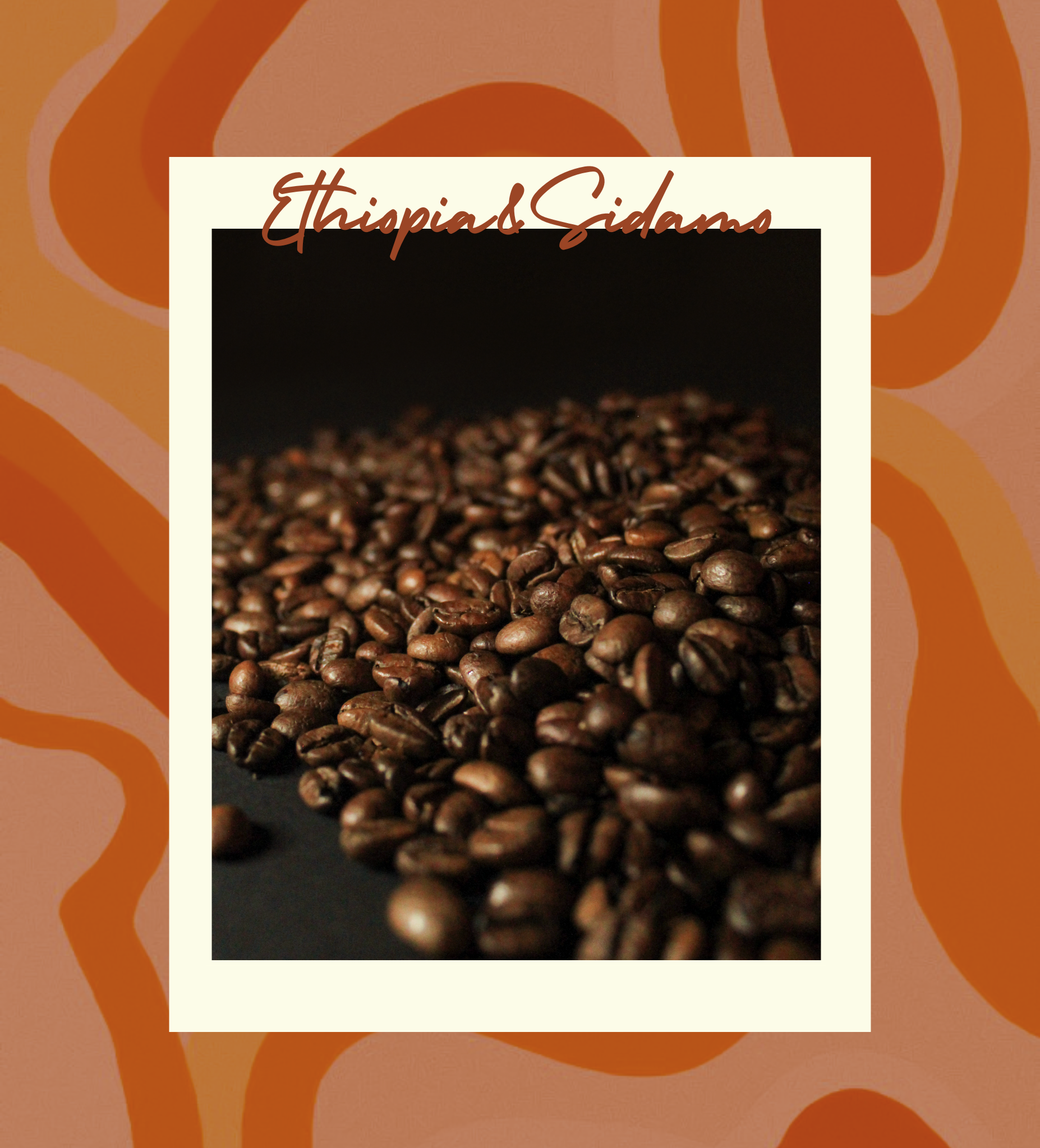 Ethiopia Sidamo Kahvesi - İçimde Uyanan Bir Rüya
