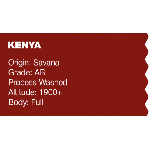 Avantaj Paket Brezilya 250 g + Kenya 250 g Filtre Kahve (Haftalık Kavrum)