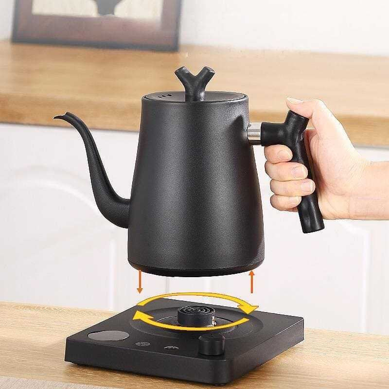Epinox EBK-1000 Isı Ayarlı Barista Kettle, 1 L, Siyah