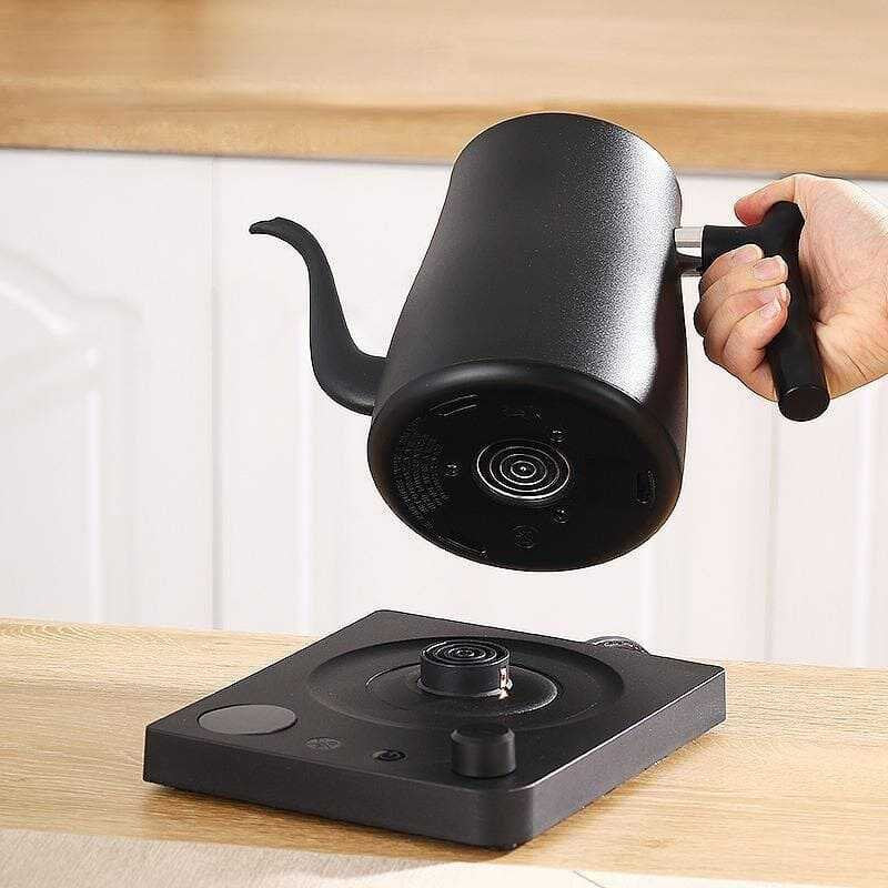 Epinox EBK-1000 Isı Ayarlı Barista Kettle, 1 L, Siyah