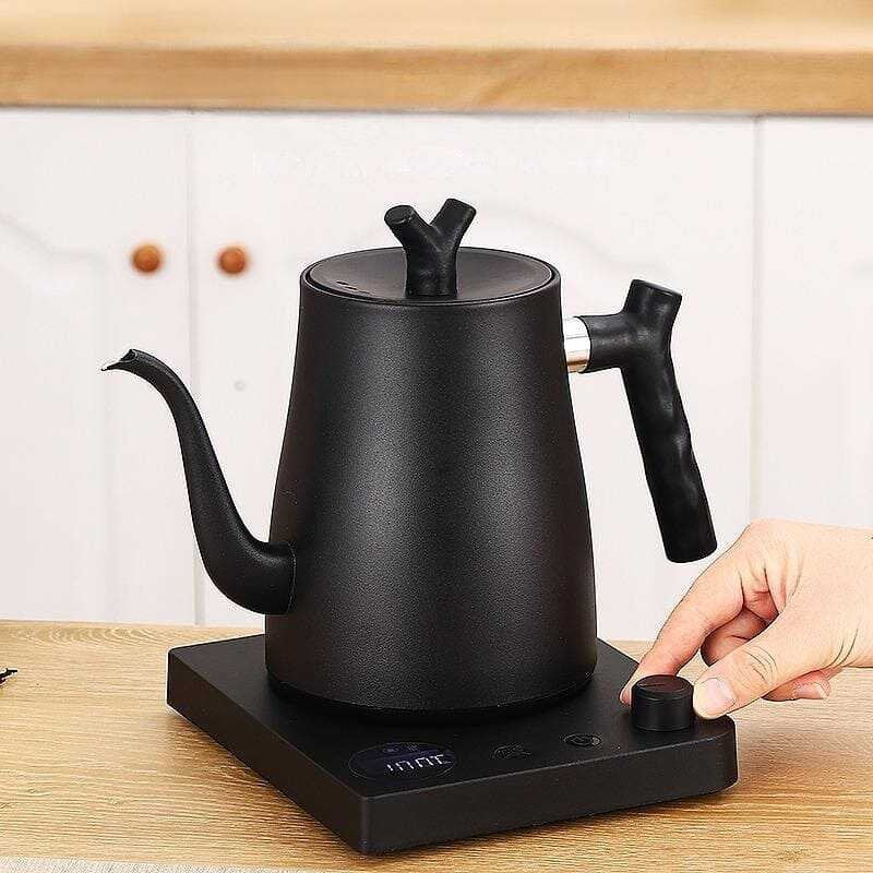 Epinox EBK-1000 Isı Ayarlı Barista Kettle, 1 L, Siyah