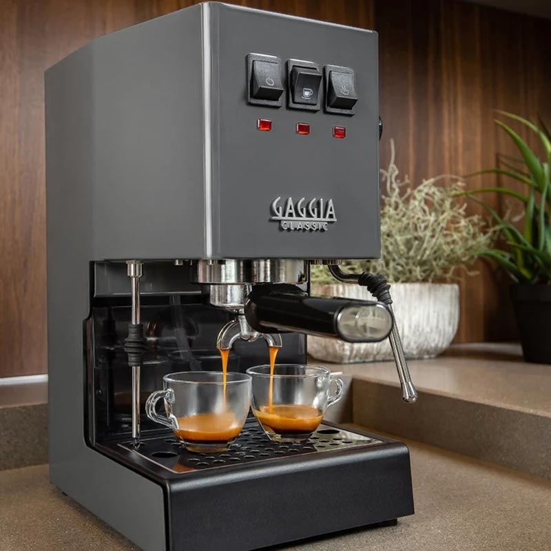 Gaggia RI9481/16 New Classic E24 Metal Espresso Makinesi, Gri