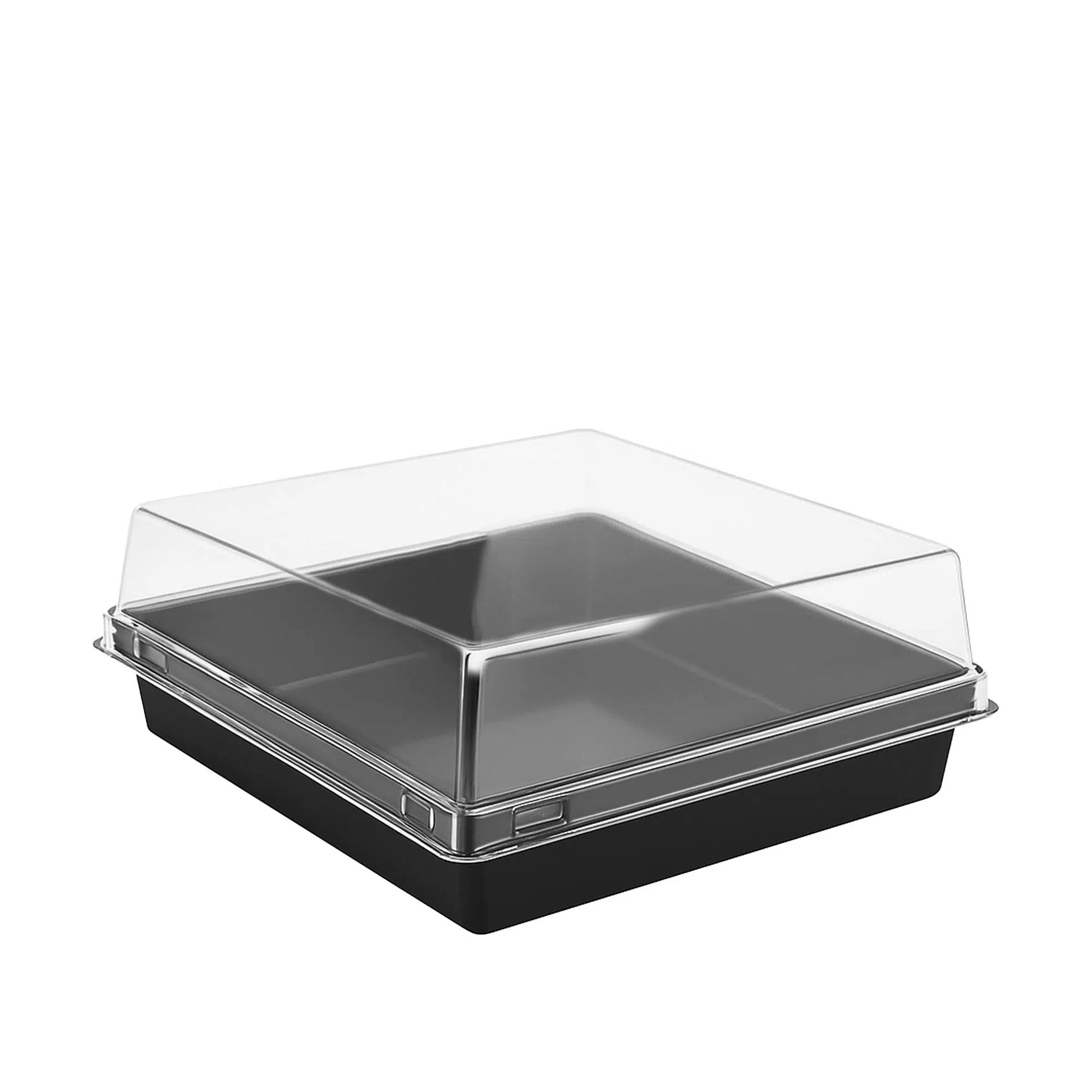 Kare Pasta Kabı Seti 12x12x4,5 cm - 50 Adet