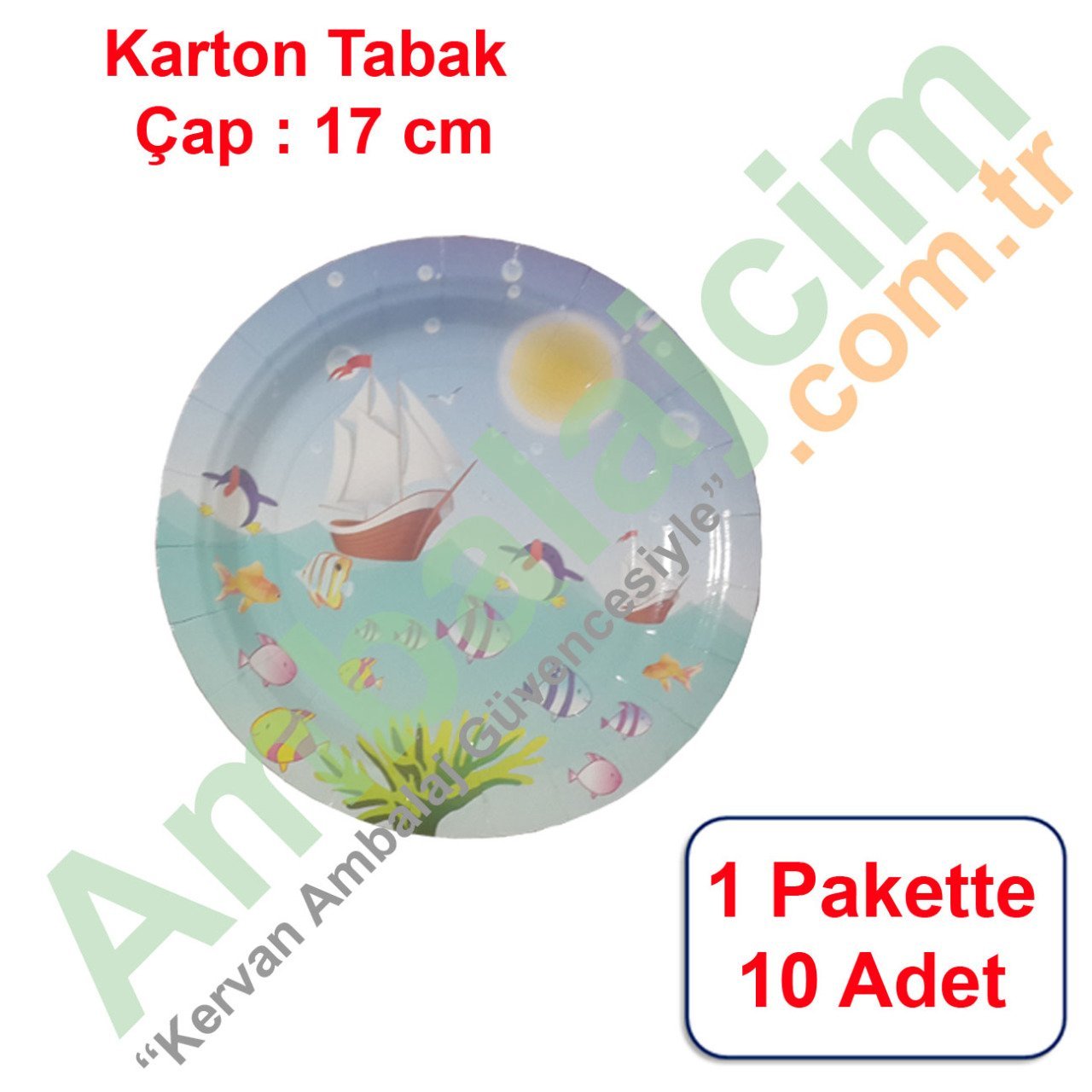 Tabak Karton Çap 18 Cm Doğum Günü / Yılbaşı 10 Adetli GEMİLİ