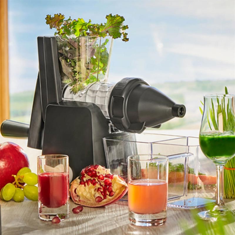 Lurch Base & Soul Slow Juicer Katı Meyve Sıkacağı