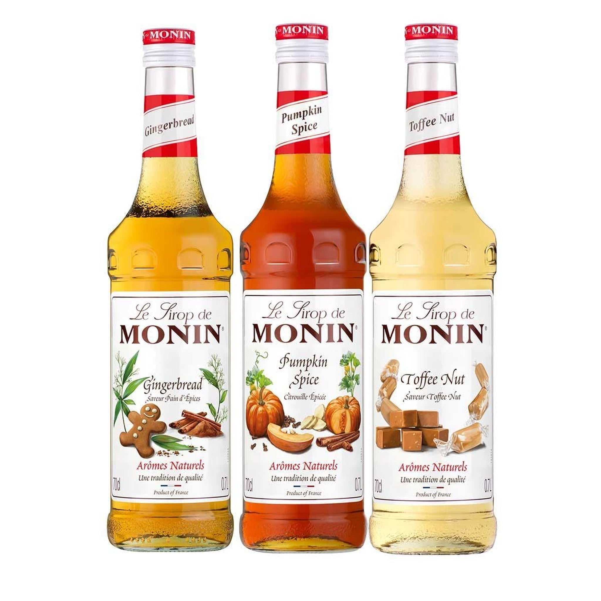 Monin Kış Şurup Seti