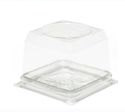 Özge Plastik Kare Pasta Kabı Şeffaf Taban 12x12x9 cm