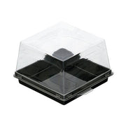 Siyah Taban Kare Pasta Kabı Set 12x12x8 cm