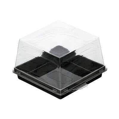 Siyah Taban Kare Pasta Kabı Set 12x12x8 cm