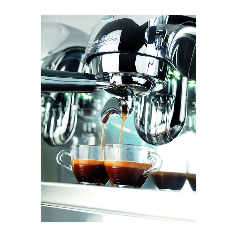 Victoria Arduino Adonis Style Core Espresso Kahve Makinesi, 2 Gruplu, Metalik